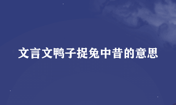 文言文鸭子捉兔中昔的意思