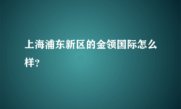 上海浦东新区的金领国际怎么样？