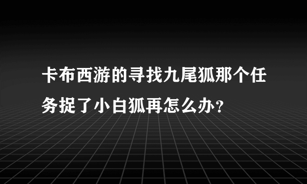 卡布西游的寻找九尾狐那个任务捉了小白狐再怎么办？