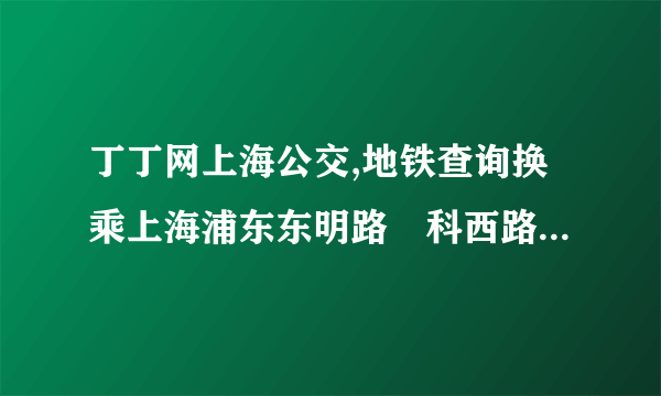 丁丁网上海公交,地铁查询换乘上海浦东东明路髙科西路到银秋路1351号