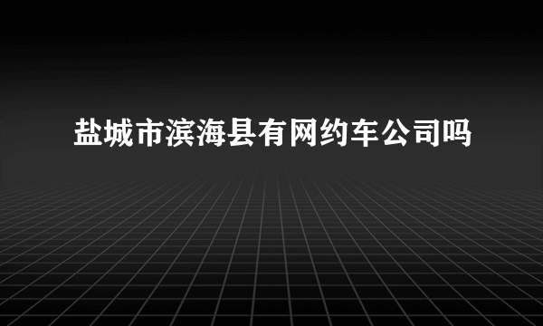 盐城市滨海县有网约车公司吗