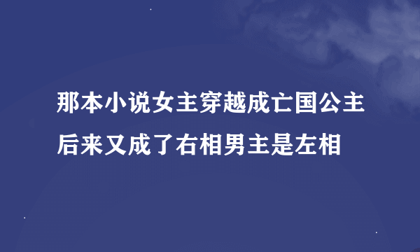 那本小说女主穿越成亡国公主后来又成了右相男主是左相