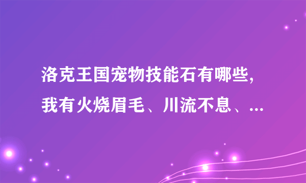 洛克王国宠物技能石有哪些,我有火烧眉毛、川流不息、枪打出头鸟和悬梁刺股，还有吗