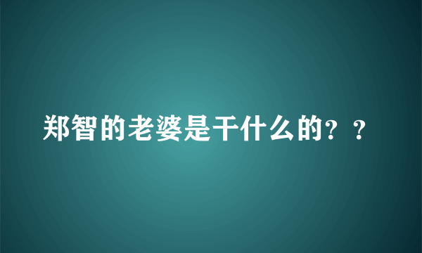 郑智的老婆是干什么的？？