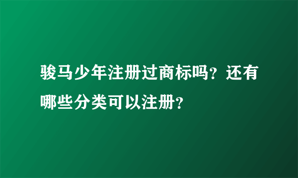 骏马少年注册过商标吗？还有哪些分类可以注册？