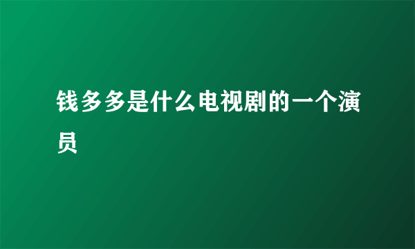 钱多多是什么电视剧的一个演员