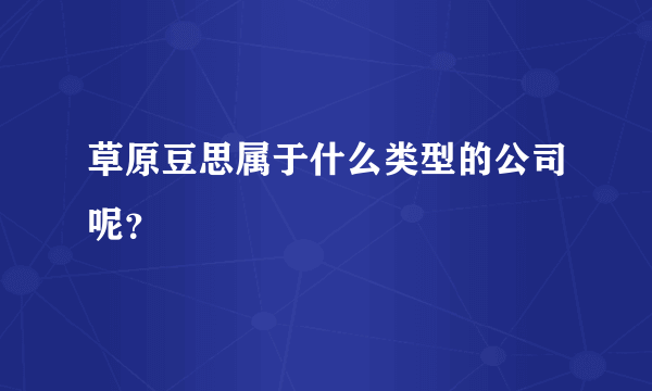 草原豆思属于什么类型的公司呢？