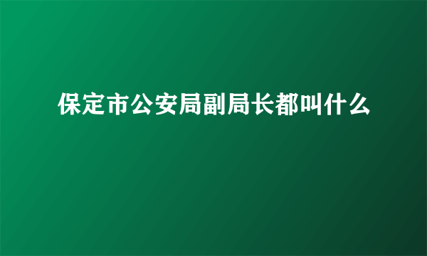 保定市公安局副局长都叫什么