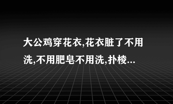 大公鸡穿花衣,花衣脏了不用洗,不用肥皂不用洗,扑棱扑棱用沙洗 歌曲名字是什么?