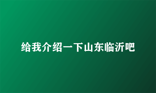 给我介绍一下山东临沂吧