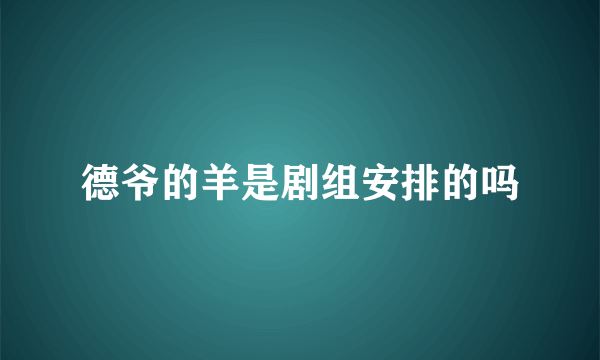 德爷的羊是剧组安排的吗