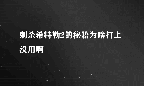 刺杀希特勒2的秘籍为啥打上没用啊