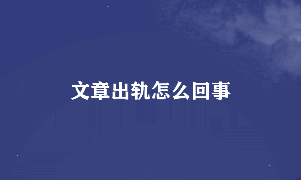 文章出轨怎么回事