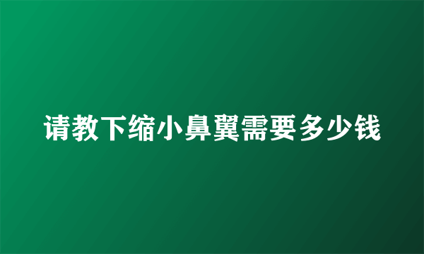 请教下缩小鼻翼需要多少钱