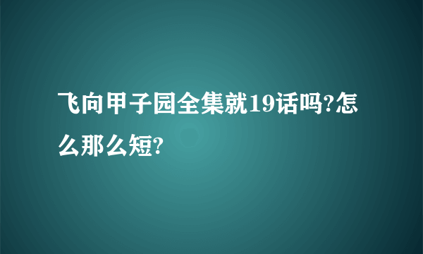 飞向甲子园全集就19话吗?怎么那么短?