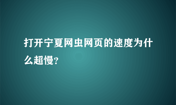 打开宁夏网虫网页的速度为什么超慢？