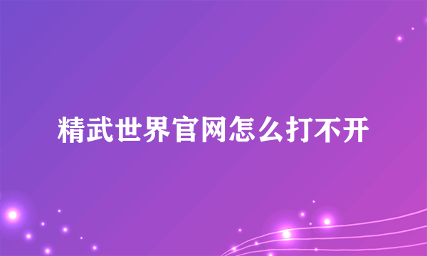 精武世界官网怎么打不开