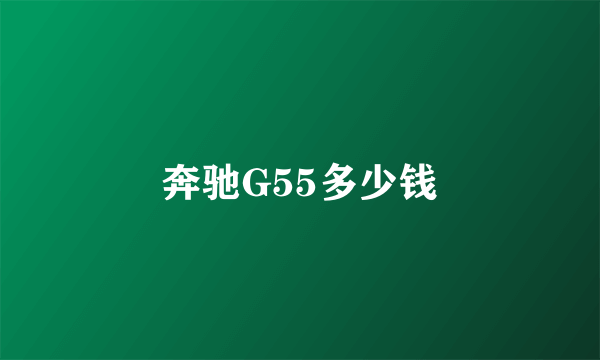 奔驰G55多少钱