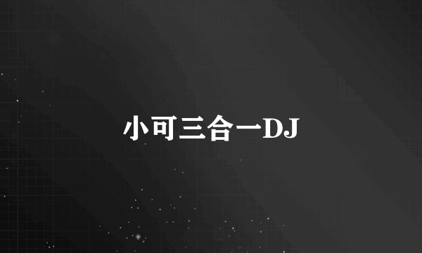 小可三合一DJ