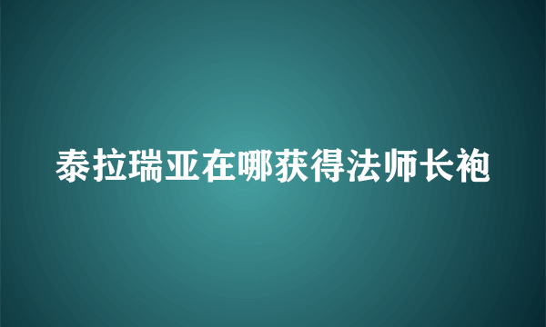 泰拉瑞亚在哪获得法师长袍