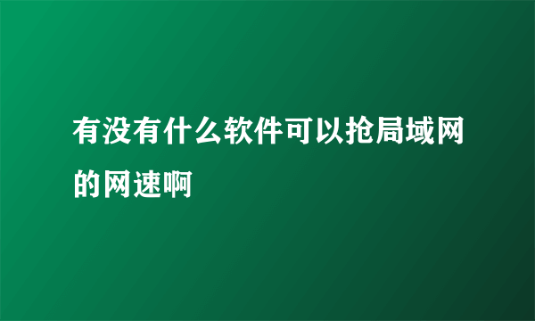 有没有什么软件可以抢局域网的网速啊