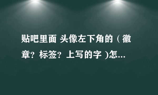 贴吧里面 头像左下角的（徽章？标签？上写的字 )怎么弄上去的啊