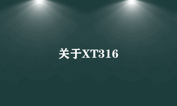 关于XT316