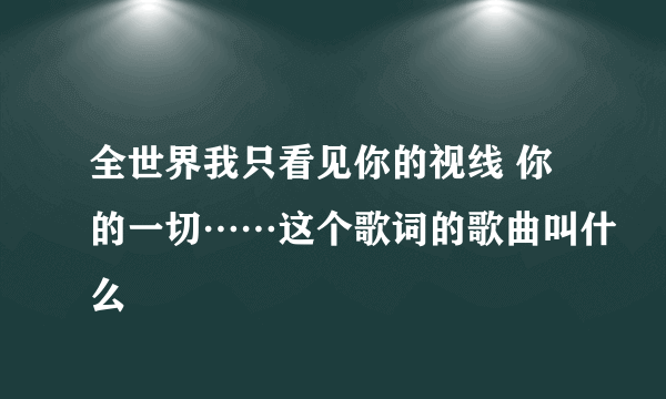 全世界我只看见你的视线 你的一切……这个歌词的歌曲叫什么