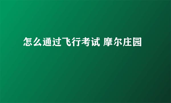 怎么通过飞行考试 摩尔庄园