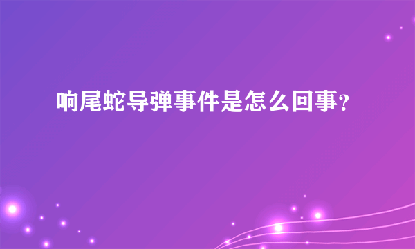 响尾蛇导弹事件是怎么回事？