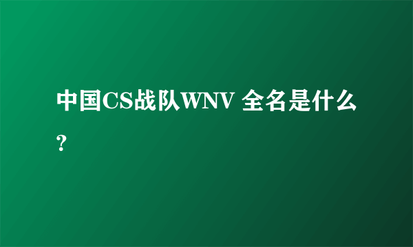 中国CS战队WNV 全名是什么？