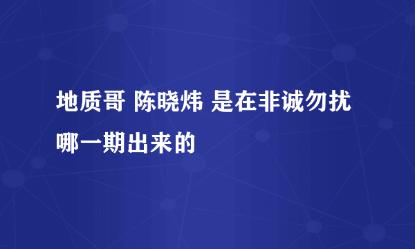 地质哥 陈晓炜 是在非诚勿扰哪一期出来的