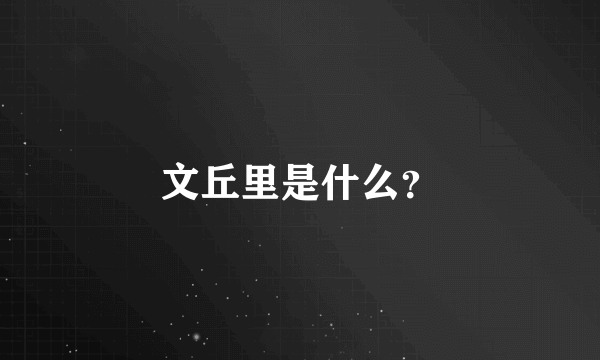 文丘里是什么？