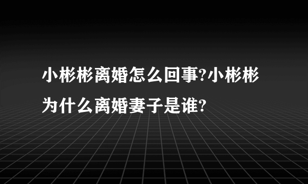 小彬彬离婚怎么回事?小彬彬为什么离婚妻子是谁?