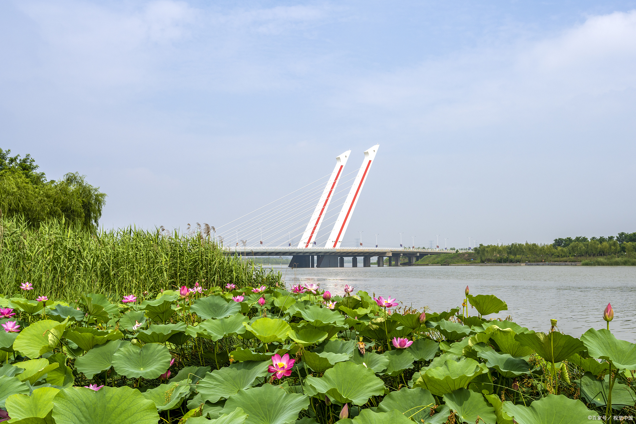 郑州遭受暴雨袭击，为什么周口西华、扶沟的老百姓需要紧急撤离？