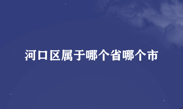 河口区属于哪个省哪个市