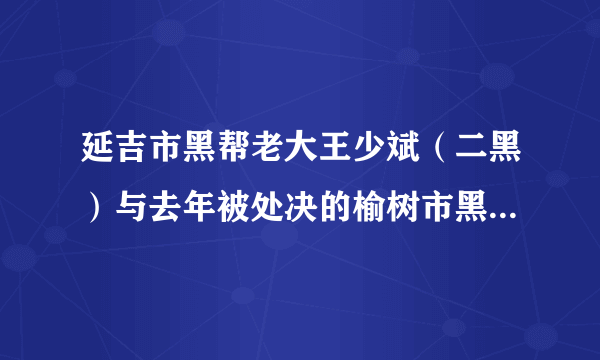 延吉市黑帮老大王少斌（二黑）与去年被处决的榆树市黑老大徐伟相比那个更有钱有势？