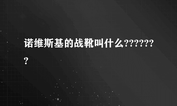 诺维斯基的战靴叫什么???????