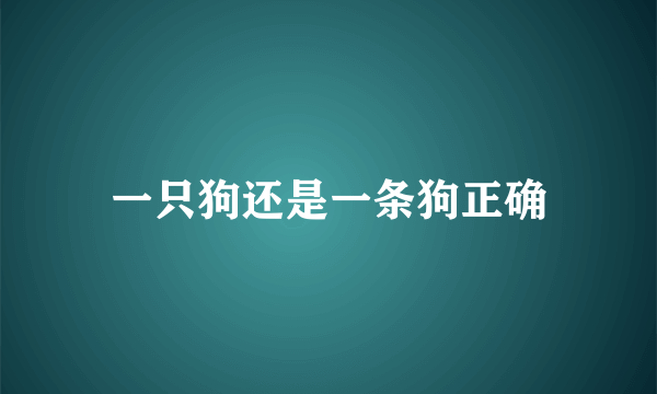 一只狗还是一条狗正确