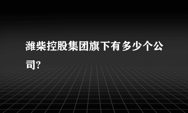 潍柴控股集团旗下有多少个公司?