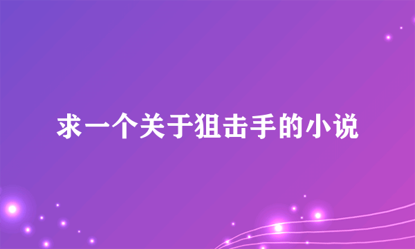 求一个关于狙击手的小说