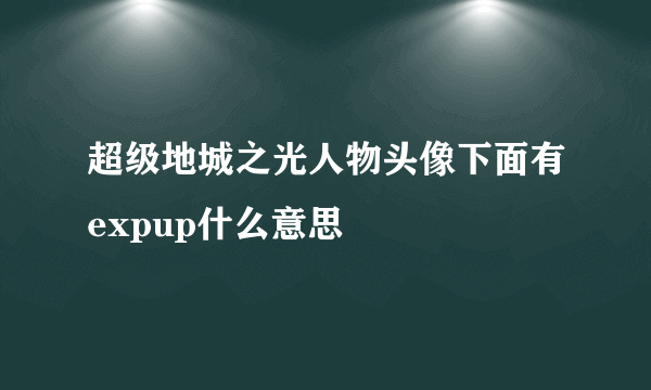 超级地城之光人物头像下面有expup什么意思