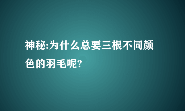 神秘:为什么总要三根不同颜色的羽毛呢?