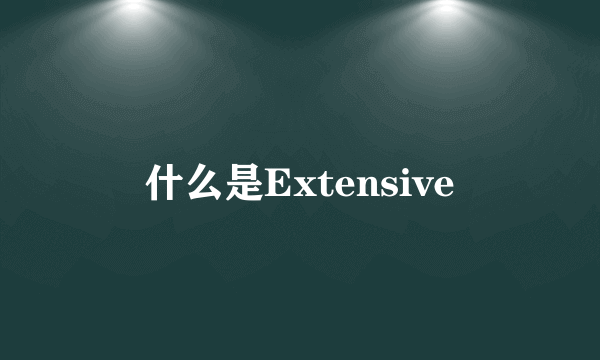 什么是Extensive