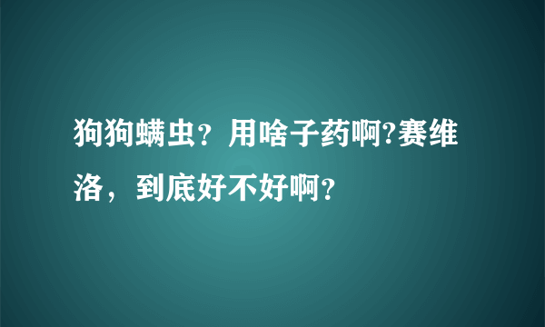 狗狗螨虫？用啥子药啊?赛维洛，到底好不好啊？