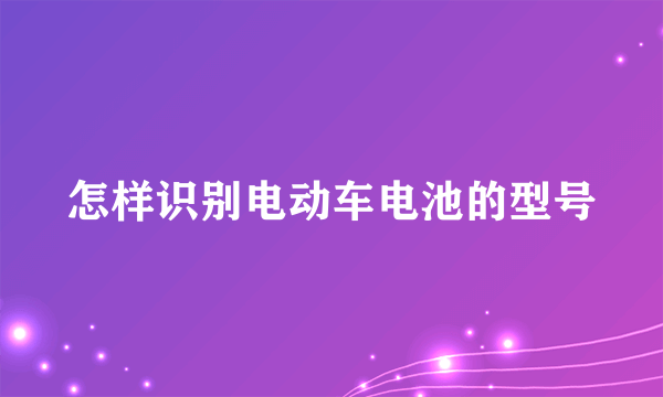 怎样识别电动车电池的型号