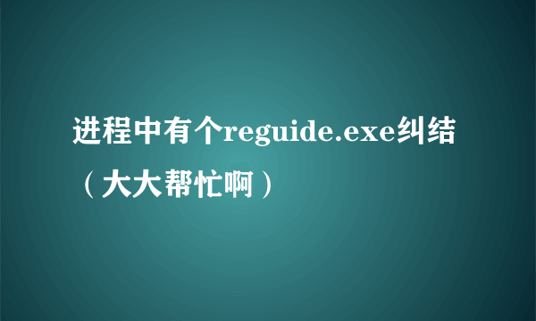 进程中有个reguide.exe纠结（大大帮忙啊）