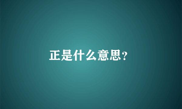 正是什么意思？