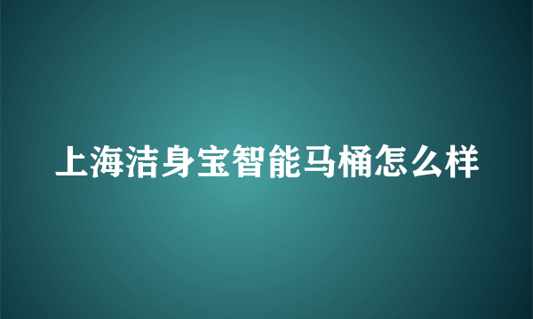 上海洁身宝智能马桶怎么样