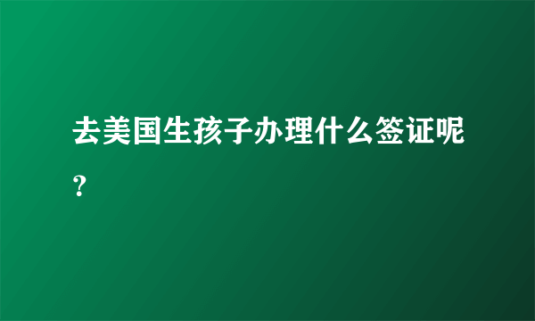 去美国生孩子办理什么签证呢？